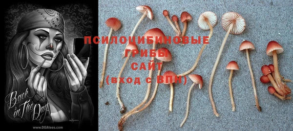 молекула духа Белоозёрский