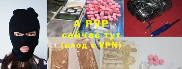 молекула духа Белоозёрский