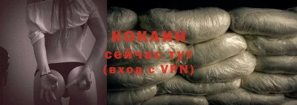молекула духа Белоозёрский