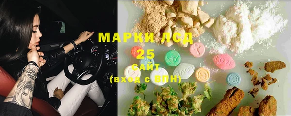 бошки Пересвет